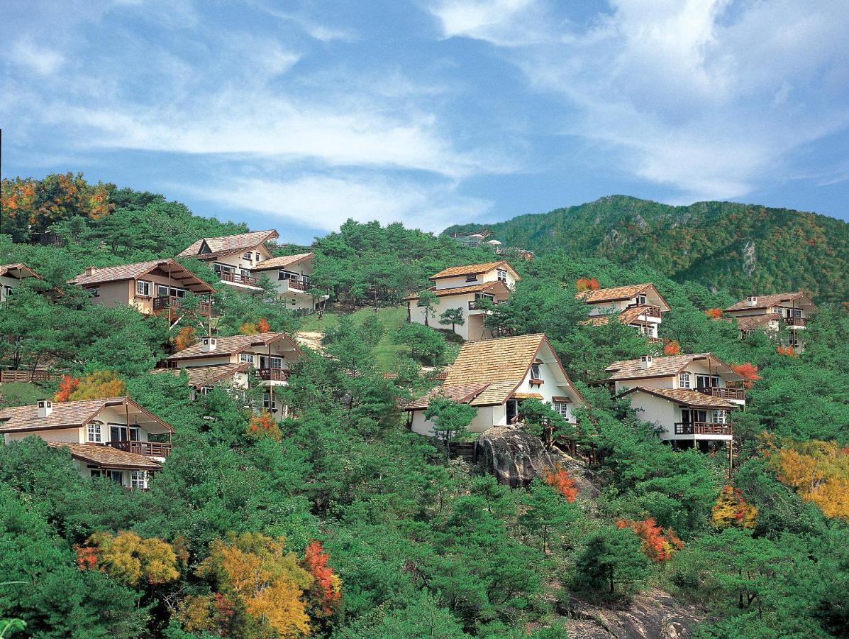Club Es Jecheon Resort Chech'ŏn Extérieur photo